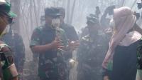 Kebakaran Hutan dan Lahan Riau Tembus 1.136 ha