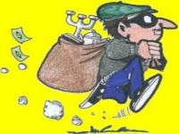 Waspada! Pura-pura Minta Daun Bunga Raya, Rumah Dosen Unilak Digasak Maling