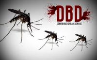 600an warga Bengkalis derita DBD, 4 orang anak meninggal dunia