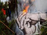 Polisi Tangkap Tangan Empat Pembakar Lahan di Kuansing,