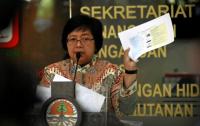 Izin PT HSL, SRT & DPI di Riau dicabut, negara mengambil alih