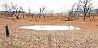 Waspada ! Fenomena Cuaca El Nino Mungkin Mampir ke Riau