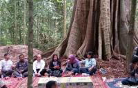 Mantap! Riau segera miliki Hutan Adat