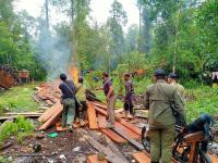 BBKSDA Riau Musnahkan 10 Pondok Perambah Hutan di Cagar Biosfer