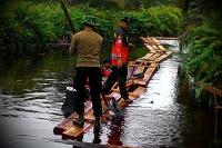 Polres Bengkalis buru toke, KLHK temukan 5 titik illegal logging di Cagar Biosfer