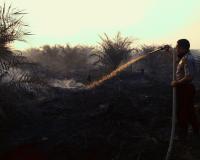 Riau semakin membara, 30 hektare lahan terbakar di Indragiri Hilir
