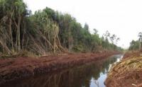 Ribuan Sekat Kanal Tidak Berfungsi  