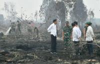 Lihat Pemadaman  Karhutla, Jokowi: Pekerjaan Luar Biasa