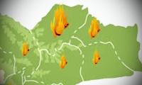 Selama 1 - 15 Agustus, 267 hotspot di areal 45 Perusahaan