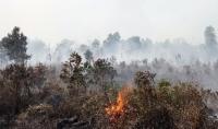 18 Tahun Asap di Riau, Negara Harus Tangung Jawab!!!