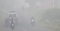 Kebakaran lahan dan hutan makin marak, kabut asap selimuti kota Dumai