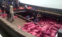 Kapal Pengangkut 50 Ton Bawang Merah Ilegal Kandas di Bengkalis