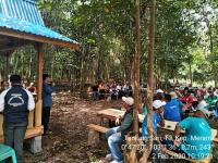 Merawat Semangat Budidaya Lebah Tak Bersengat