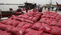 Dikejar dari Dumai, kapal pembawa 14 ton bawang merah ilegal nyerah di Bengkalis