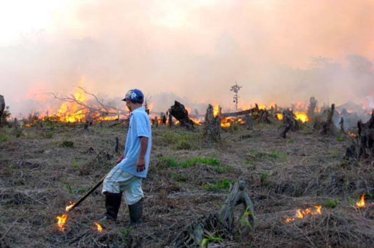 Belum Lengkap, Jaksa Kembalikan Berkas PT BMI
