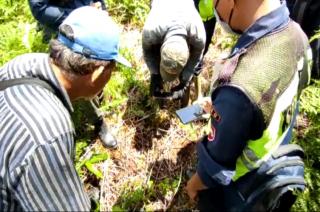 Pergi ke Kebun, Samino Dicabik-cabik Harimau