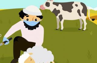 Mau Rayakan Idul Adha di masa PPKM, ini kata Satgas