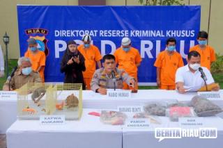 Polda Riau Bongkar Kejahatan Perdagangan Ilegal Hewan Dilindungi