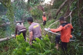 Selat Panjang diterjang Badai, 12 Rumah dan 5 Kapal rusak