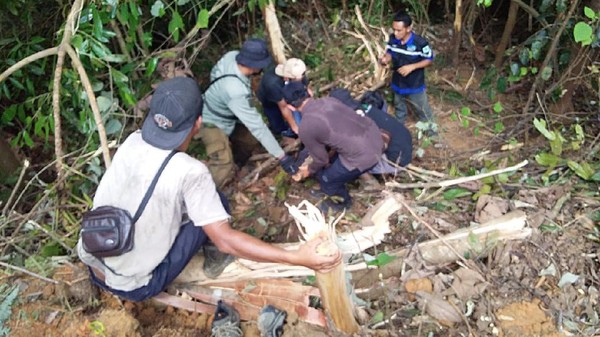 Beruang Madu di Inhu Diselamatkan Dari Jerat Warga