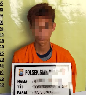 Polsek Siak Hulu Bekuk Maling Televisi dan Laptop di Perumahan Torganda