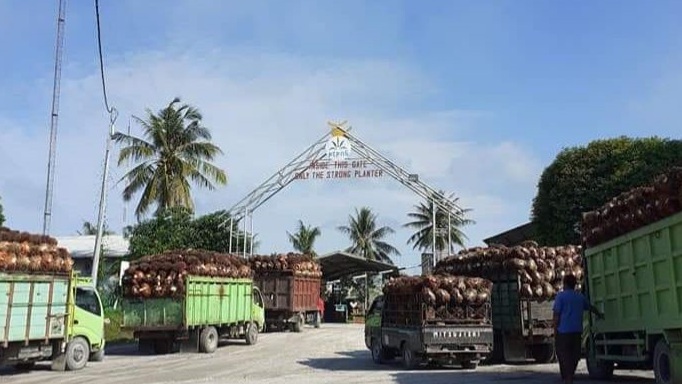 Petani Kopsa-M Menuding Pengurus Periode Lama Diduga Selewengkan PB