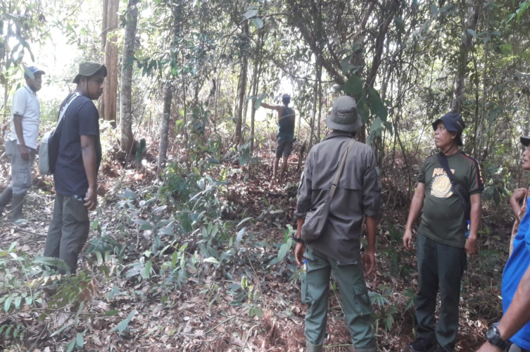 Pembukaan Lahan Penyebab Konflik Manusia Vs Satwa Gajah di Peranap