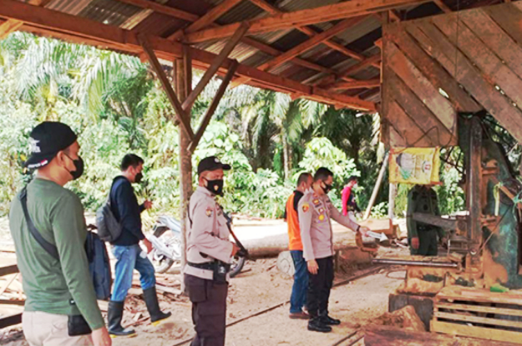 Tiga Sawmil di Kuansing, Digaris Polisi