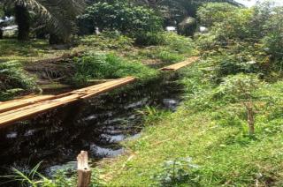 Hutan Konservasi Giam Siak Kecil Digunduli