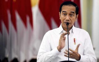 Khawatirkan Kondisi Warga Riau, Jokowi Kirim Tambahan Vaksin dan Obat