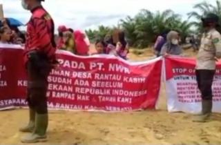 Ibu-ibu Berhijab Protes di Lahan Konsesi HTI Nusa Wana Raya