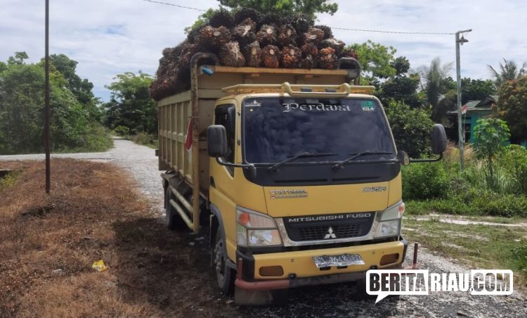 Hasil Panen Sawit KKPA PTPN V Diduga Dicuri dan Dijual Oknum Petani ke PKS PT BTR