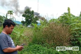 Data Sawit Ilegal, Petir: Gubri 