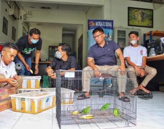 BBKSDA Riau Selamatkan Burung Eksotis Dari Perdagangan Gelap