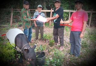 BKSDA Riau Simpulkan Tapir di Kuansing Luka Terkena Sajam