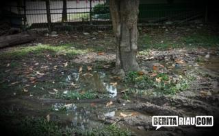 Ormas PETIR Laporkan Dugaan Korupsi di RSUD Arifin Achmad ke Kejati Riau