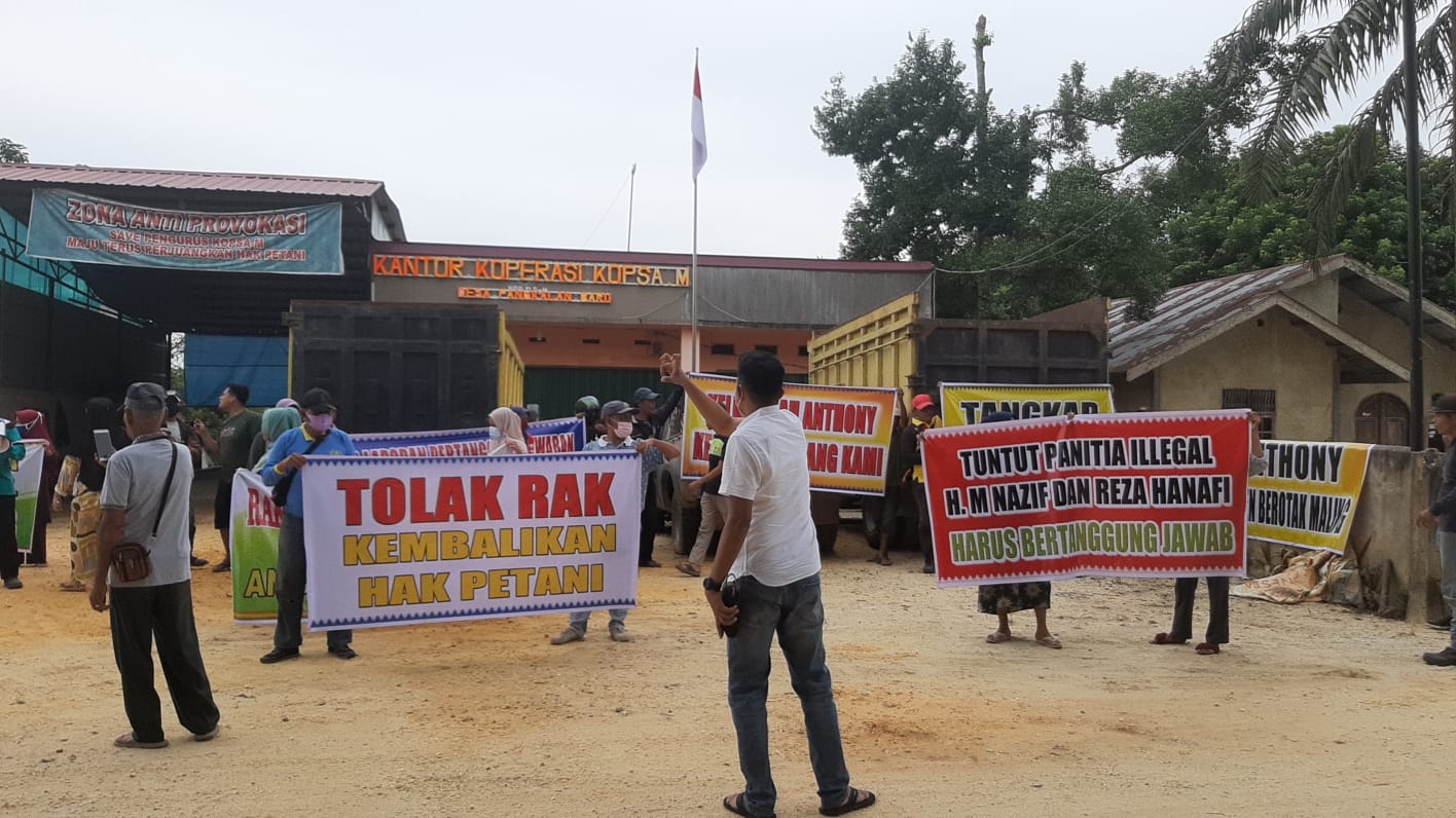 Emak-emak Petani Sawit Demo, Tuntut LPJ Ketua Koperasi 