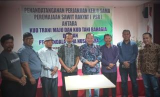 PT MSN Teken Kontrak Peremajaan Sawit dengan KUD Trani Maju dan Tani Bahagia