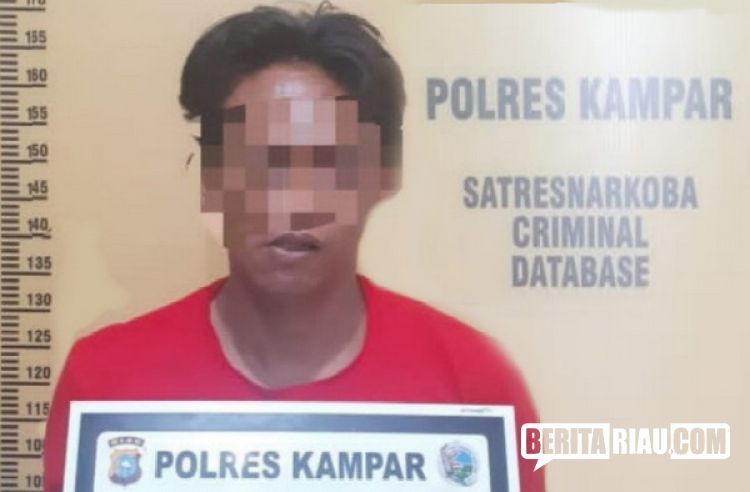 DPO Polres Kampar Dibekuk Tim BNNP Riau
