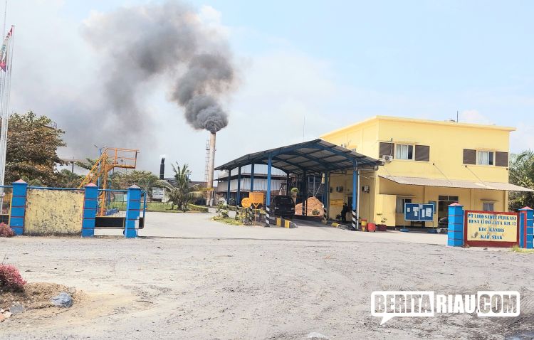 YLBHR Minta Menteri LHK Hormati Peradilan dan Tolak Usulan PT Libo Sawit Perkasa