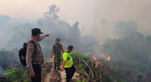 Puluhan Hektare Lahan Terbakar di Rokan Hulu
