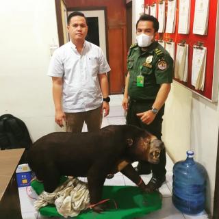 Balai BKSDA Riau Sita Beruang Madu Yang Telah Diawetkan