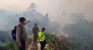 Puluhan Hektare Lahan Terbakar di Rokan Hulu