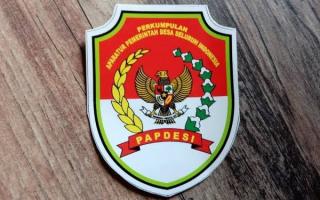 Kades Ini Gabung PAPDESI, Ingin Perjuangkan Anggaran Rumah Tangga
