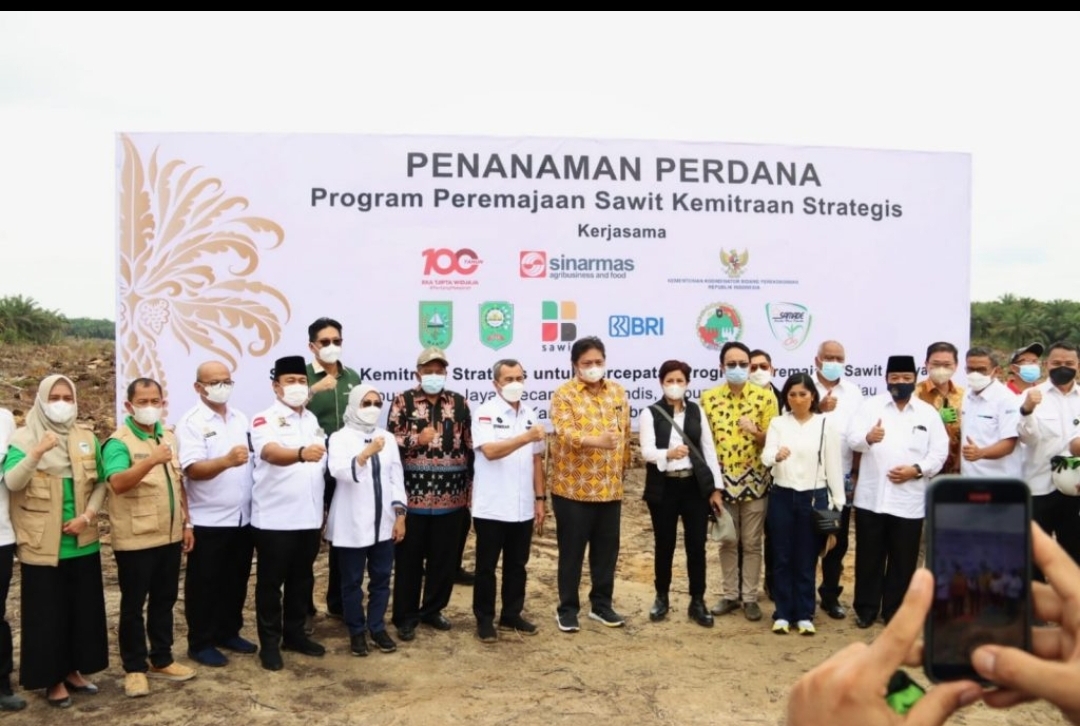 DPRD Riau Hadiri Tanam Perdana Peremajaan Sawit Rakyat Kemitraan Strategis