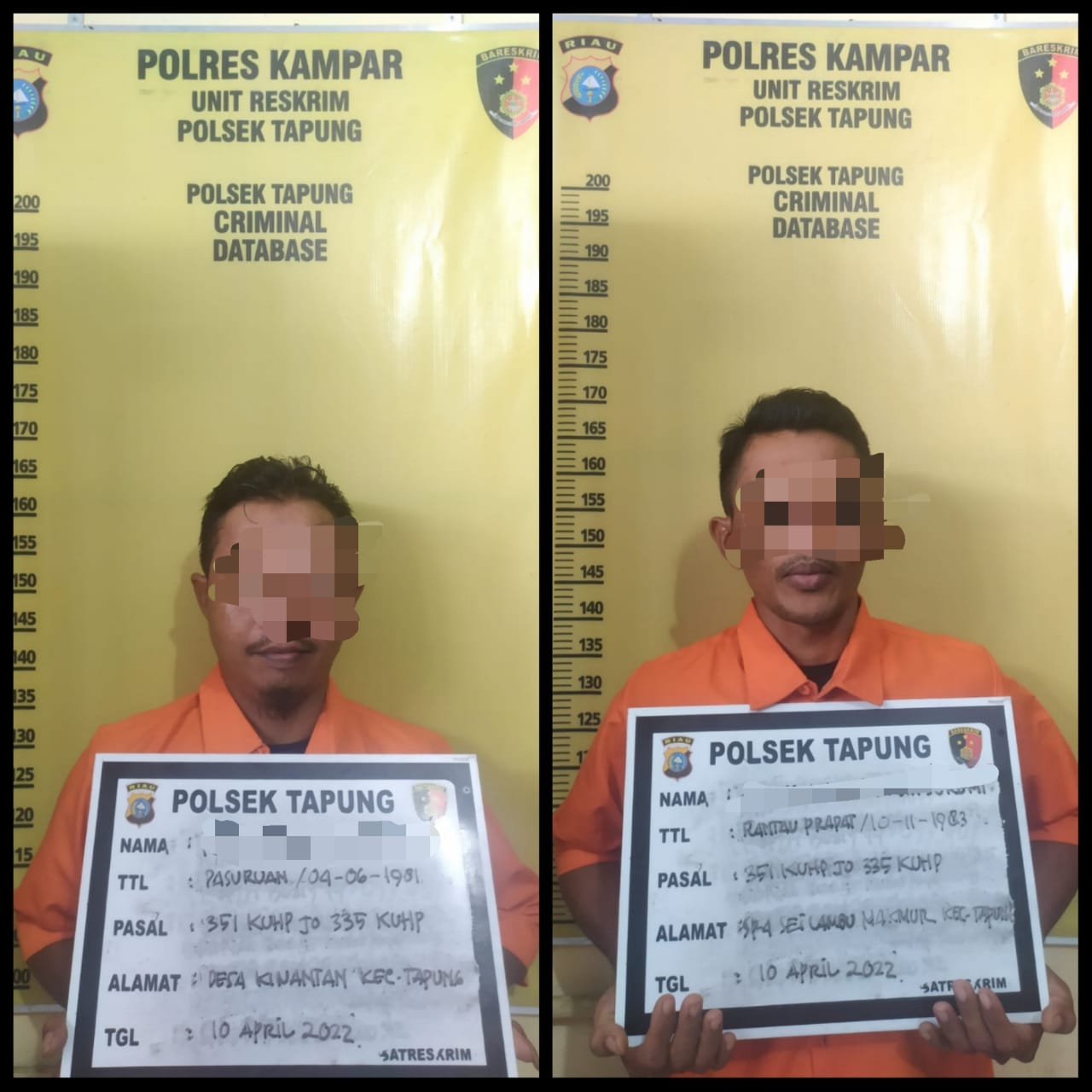 Dua Pria Todongkan Senpi Hanya Karena Merasa Dituduh Mencuri Sawit