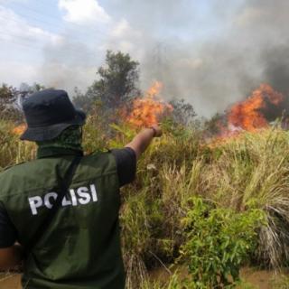 Saling Menyalahkan Kasus Karhutla, YLBHR Riau soroti Polda dan Kejati