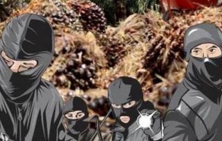 Warga Siak Tangkap Komplotan Pencuri Buah Sawit