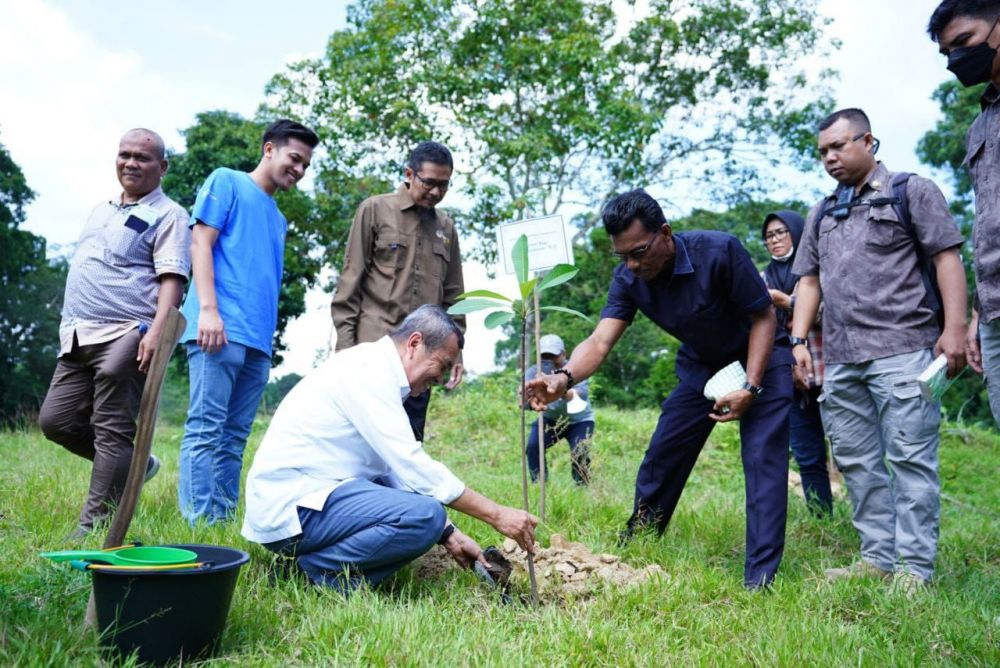 Syamsuar Ajak Masyarakat Bersinergi dalam Proses Penghijauan Riau
