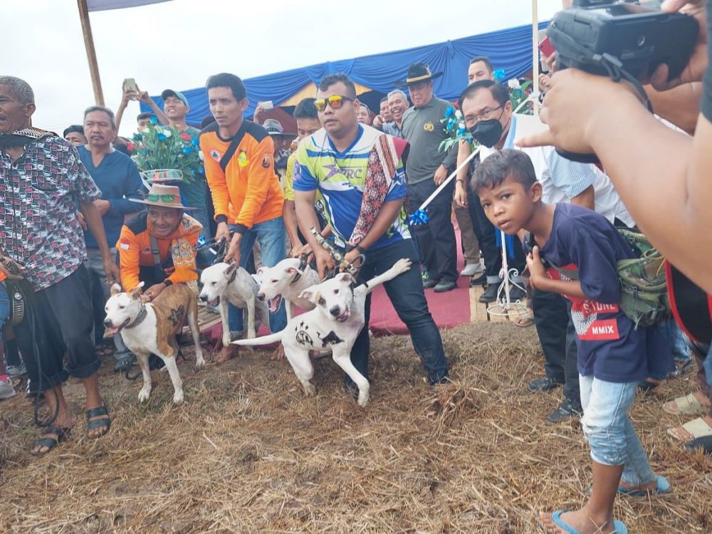 Porbi Riau Gelar Kegiatan Berburu Babi di Kampar
